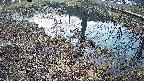 mizubasho6-20250406050028.jpg