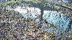 mizubasho6-20250406051028.jpg