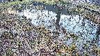 mizubasho6-20250406054028.jpg