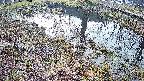 mizubasho6-20250406055031.jpg