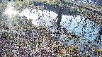 mizubasho6-20250406061029.jpg