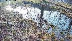 mizubasho6-20250406062031.jpg