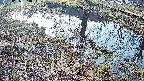 mizubasho6-20250406063029.jpg