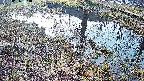 mizubasho6-20250406064029.jpg