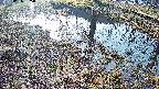 mizubasho6-20250406065030.jpg