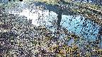 mizubasho6-20250406070031.jpg