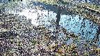 mizubasho6-20250406071027.jpg