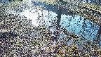 mizubasho6-20250406073027.jpg