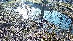 mizubasho6-20250406074029.jpg