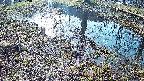 mizubasho6-20250406075029.jpg