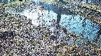 mizubasho6-20250406080028.jpg
