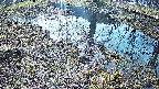 mizubasho6-20250406081029.jpg