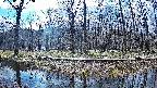 mizubasho6-20250409102030.jpg