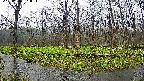 mizubasho6-20250420061026.jpg
