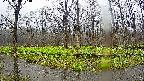 mizubasho6-20250420074025.jpg