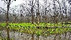mizubasho6-20250420082028.jpg
