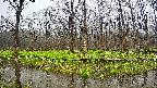 mizubasho6-20250420085029.jpg