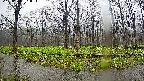mizubasho6-20250420091028.jpg
