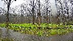 mizubasho6-20250420094029.jpg