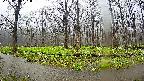 mizubasho6-20250420101027.jpg