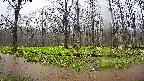 mizubasho6-20250420112030.jpg