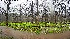 mizubasho6-20250420113028.jpg