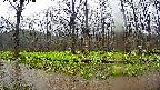 mizubasho6-20250420114030.jpg