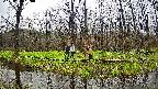 mizubasho6-20250420160030.jpg