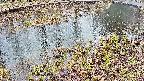 mizubasho7-20250403084604.jpg