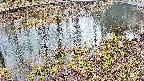 mizubasho7-20250403085042.jpg