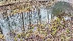 mizubasho7-20250403092042.jpg