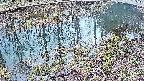 mizubasho7-20250403094043.jpg