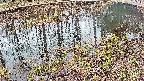 mizubasho7-20250403100048.jpg