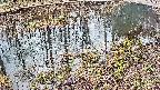 mizubasho7-20250403101049.jpg