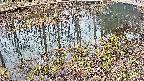 mizubasho7-20250403103047.jpg
