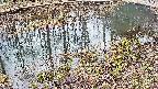 mizubasho7-20250403105044.jpg
