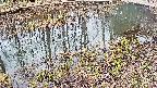 mizubasho7-20250403110042.jpg