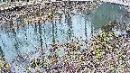 mizubasho7-20250403111041.jpg