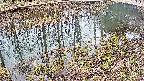 mizubasho7-20250403113044.jpg