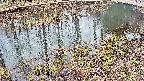 mizubasho7-20250403115040.jpg