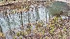 mizubasho7-20250403120044.jpg