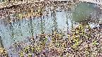 mizubasho7-20250403122041.jpg
