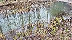 mizubasho7-20250403123045.jpg