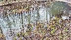 mizubasho7-20250403124042.jpg
