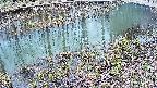 mizubasho7-20250403125042.jpg