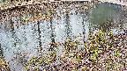 mizubasho7-20250403131047.jpg