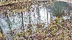 mizubasho7-20250403132046.jpg