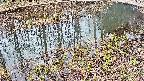 mizubasho7-20250403133044.jpg