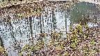 mizubasho7-20250403134047.jpg