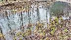 mizubasho7-20250403135043.jpg